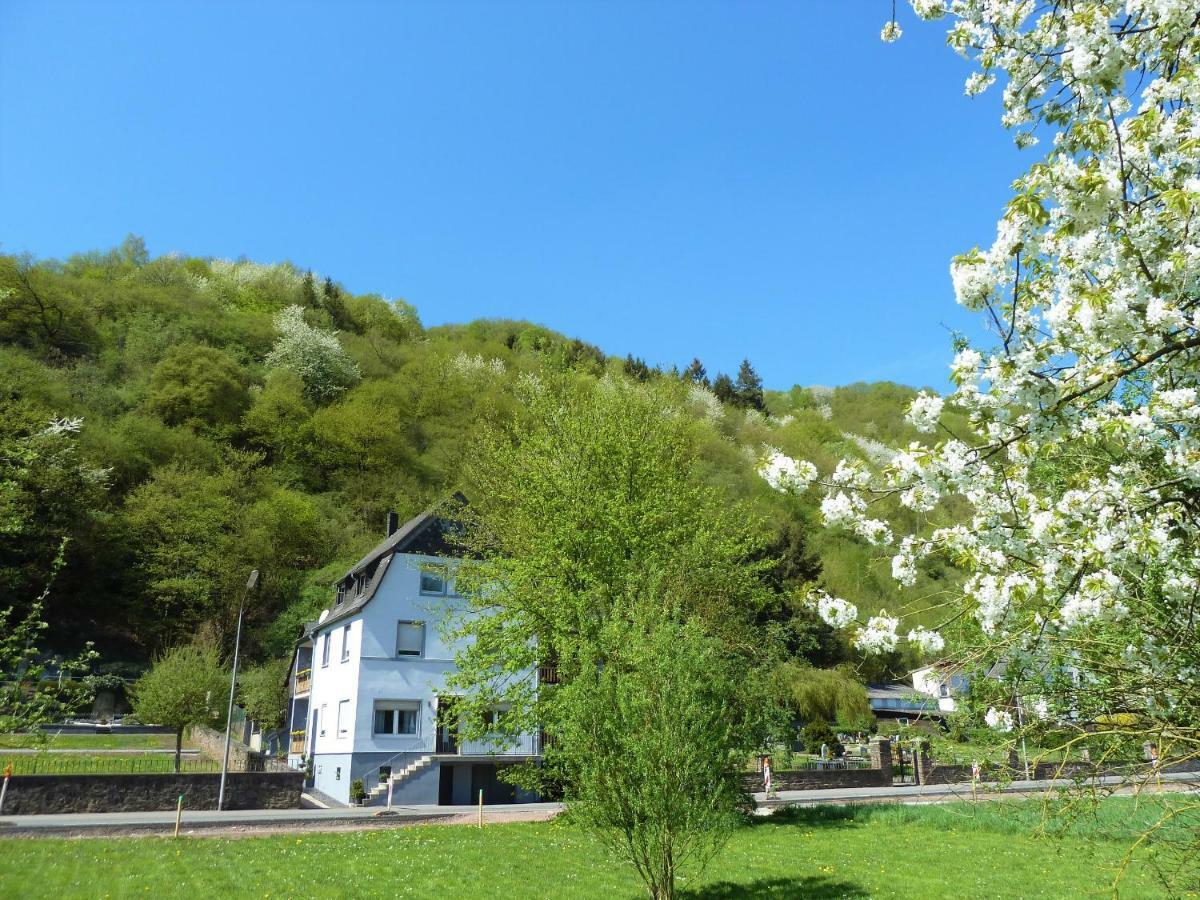 Haus Moselwiese Alf Esterno foto